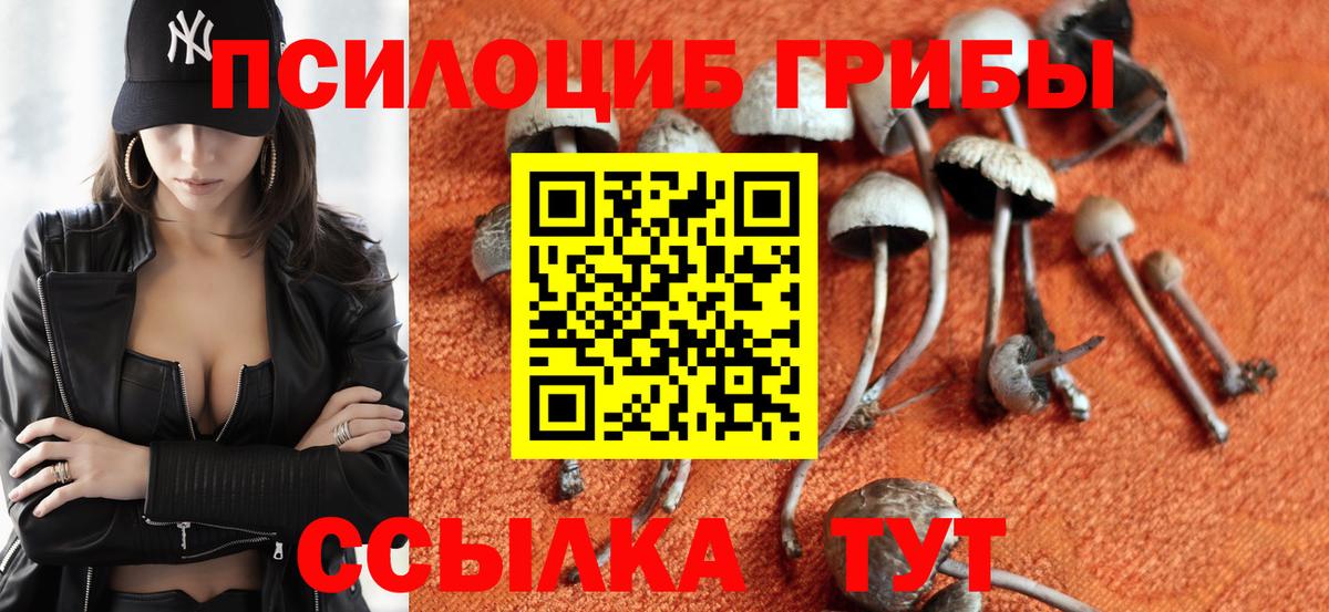 Псилоцибиновые грибы Cubensis  Вход с VPN  Галлюциногенные грибы прущие грибы  Михайловка 