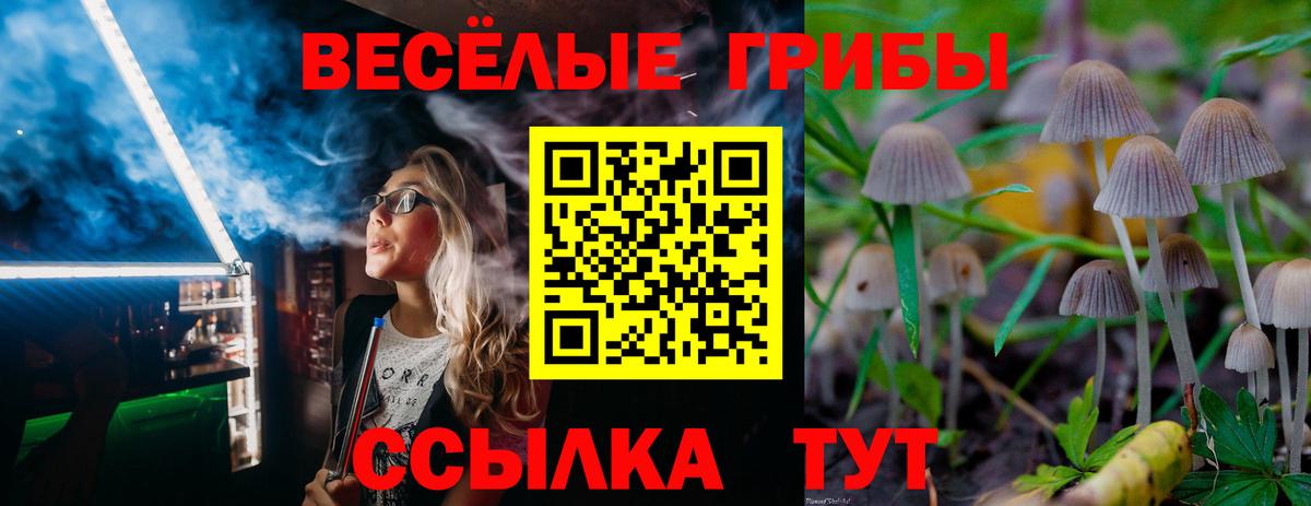 Псилоцибиновые грибы Psilocybine cubensis Михайловка